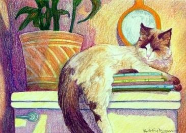 drawing of cat