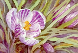 painting of crocus